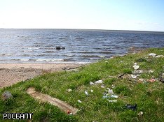 Болтология не спасет экологию Балтики - фото 1