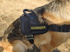 Фото с сайта дфоут.мвд.рф