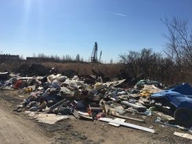 Фото МОО "Зеленый Фронт"