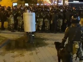 Стоп-кадр видео