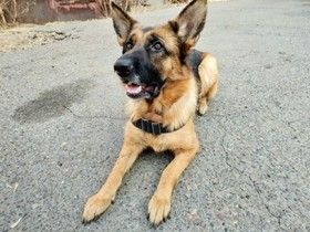 Фото с сайта дфоут.мвд.рф