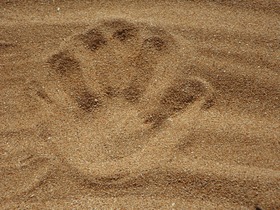 СС0 Public Domain