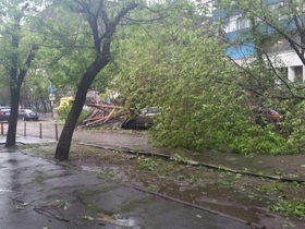 Фото ИА «Росбалт», Анна Семенец