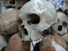 В лесу под Петербургом нашли скелет в сапогах