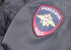 Похитительница собаки-поводыря слепой певицы задержана