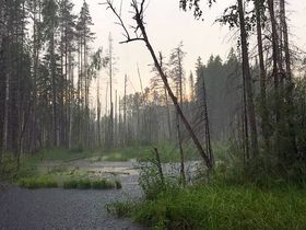 Фото Валентина Коржа
