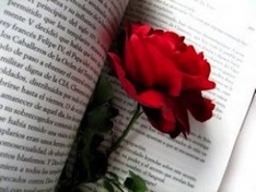 livejournal.com, La Diada de Sant Jordi