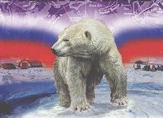 Северный полюс.