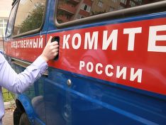 Правозащитники, политики и ученые потребовали предоставить госзащиту спецкору «Новой газеты» Елене Милашиной