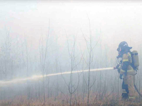 На севере Сахалина бушует лесной пожар, за сутки его площадь выросла вдвое