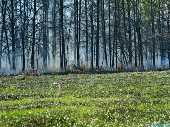 Массовые пожары в Кузбассе, оставившие десятки людей без крова, устроили поджигатели травы