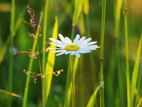 Фото Ксении Булетовой
