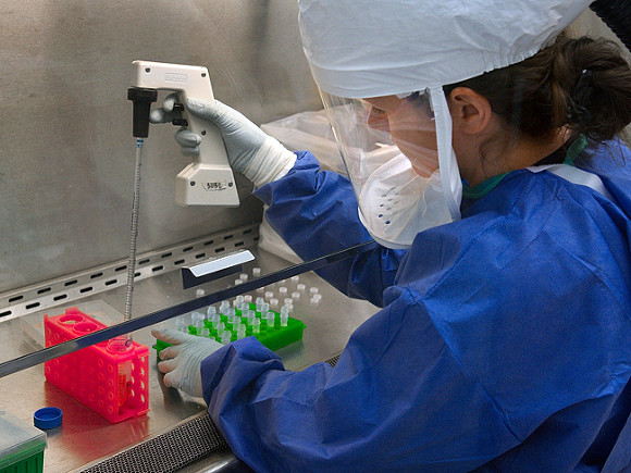 В Японии выросло число зараженных коронавирусом