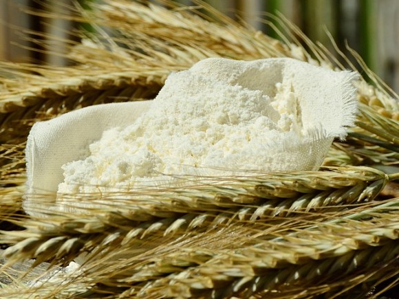 Египет предложил создать международный центр торговли зерном на территории страны