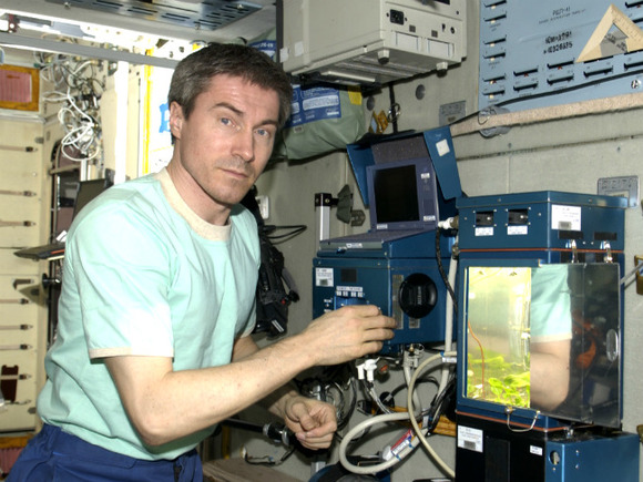 Роскосмос отреагировал на запуск корабля Илона Маска