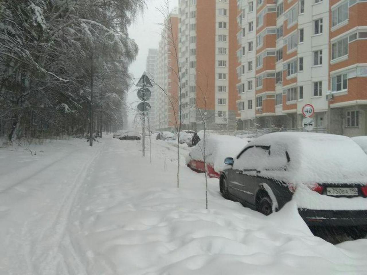 В Москве голая женщина раздела трех своих детей и закопала в снег - Росбалт