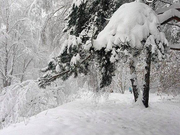 В Свердловской области пропали двое туристов на снегоходах