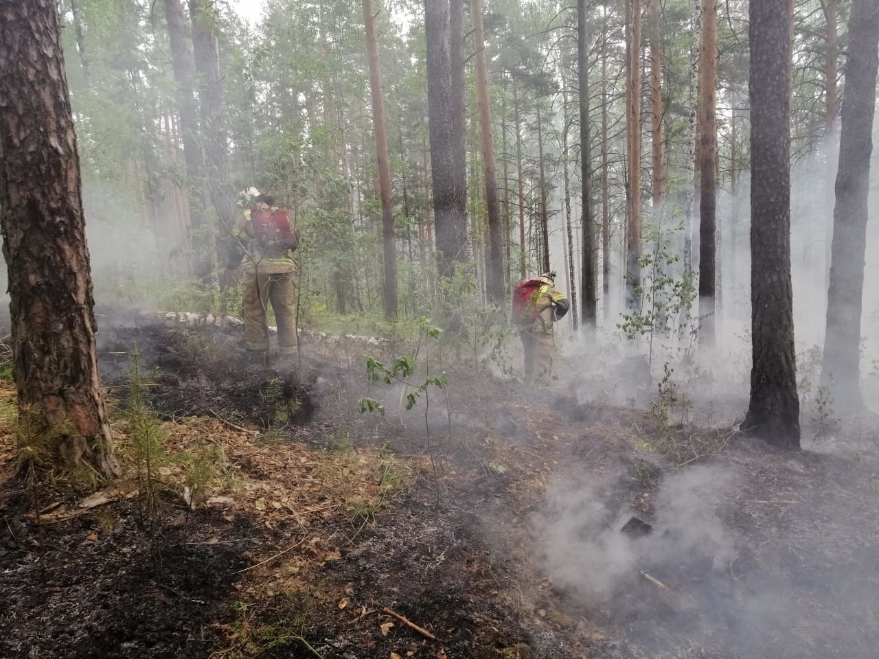 Фото пожаров свердловской области