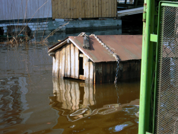 Во Владимирской области дом упал в реку и уплыл в соседний регион