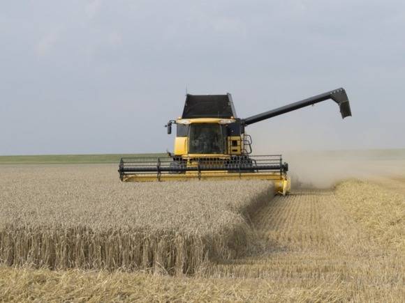 Сельхозперепись показала тенденцию к монополизации и укрупнению аграрных предприятий в России.