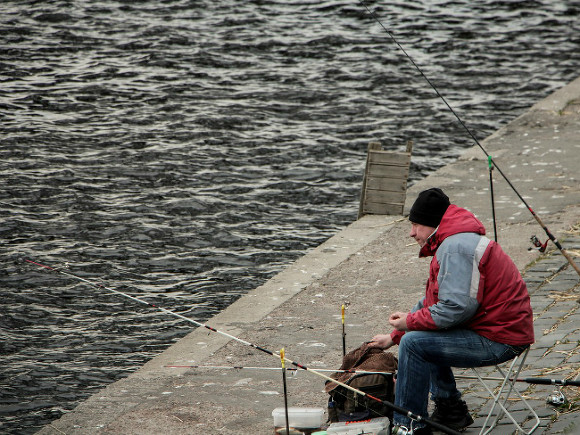 Рыболовы рассказали о лучших наживках для рыбалки зимой — среди них пенопласт