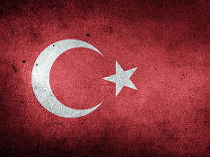 Лидер Турции примет вице-президента США в Анкаре