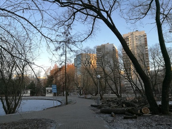 В Москве объявили «оранжевый» уровень опасности из-за морозов