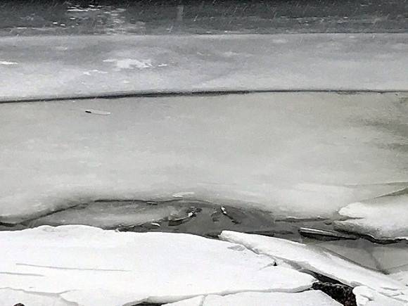 В Тульской области пятилетняя девочка провалилась под лед и утонула