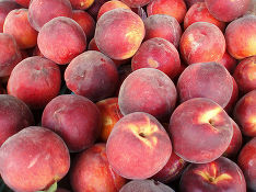 Более 5 тонн зараженных персиков уничтожили в Подмосковье