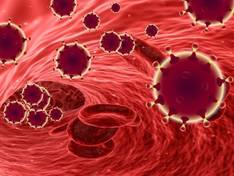 В ЕАО все шестеро заболевших коронавирусом оказались односельчанами