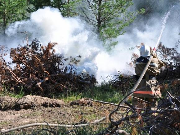 В России горят леса на площади почти 25 тыс. га