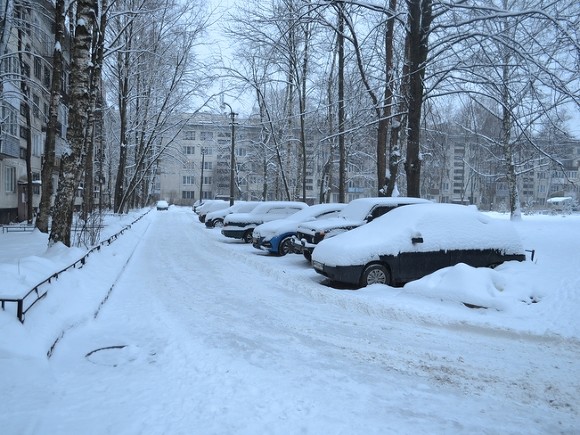 Петербуржцы дождались снега (фото)