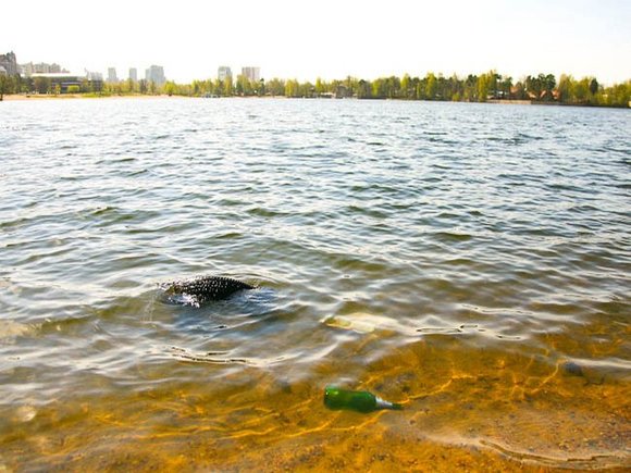 В петербургских Озерках девочка утонула, пока родители отдыхали