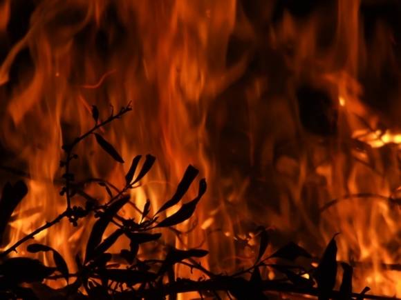 Пермские школьницы сожгли ферму ради видео в TikTok