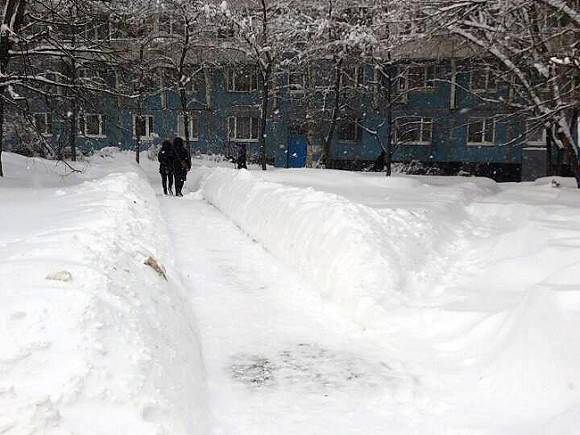 В Петропавловске-Камчатском из-за снегопада отменили школьные уроки