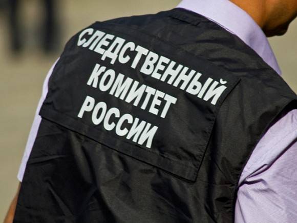 Следователи провели обыски в доме новосибирского депутата Пироговой, обвиняемой в дискредитации ВС РФ