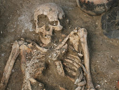 Человеческие кости нашли на заброшенной стройплощадке под Москвой