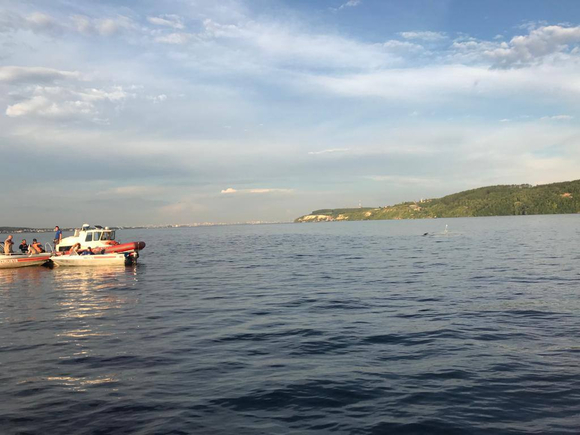 В Татарстане затонул перевозивший пассажиров прогулочный теплоход