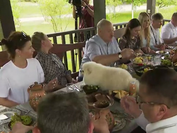 Пес Умка, сидящий на обеденном столе рядом со своим хозяином Александром Лукашенко, попал на видео