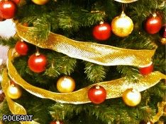 По всей России наблюдается «падеж» новогодних елок