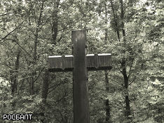 Под Омском школьники разгромили кладбище — сломаны более 40 крестов