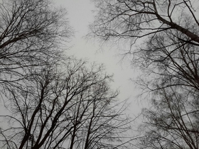 Фото ИА «Росбалт»