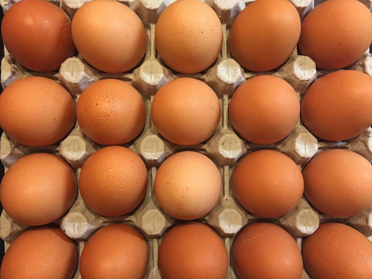 Яйцо оптом от производителя. Яйца производители. Яйцо (пищевой продукт). Турецкие яйца растущие.