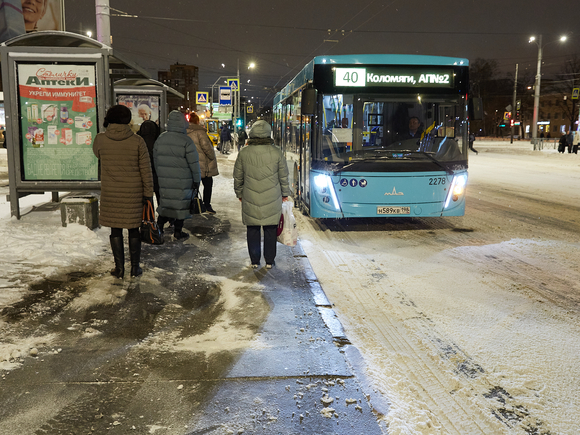 Жителям Петербурга пообещали 11-градусный мороз