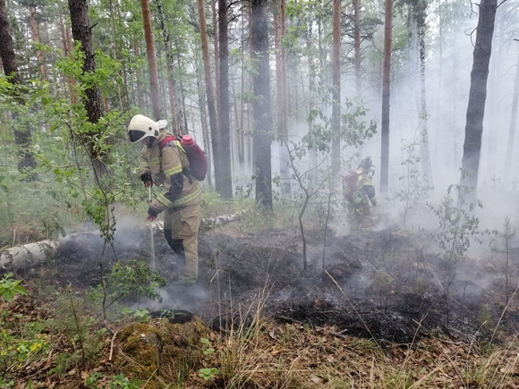 В Ивановской области огонь лесного пожара подходит к жилому поселку