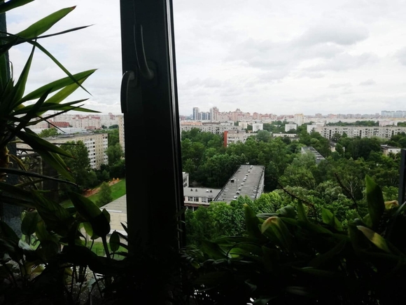 В Петербурге ребенок выжил после падения с четвертого этажа