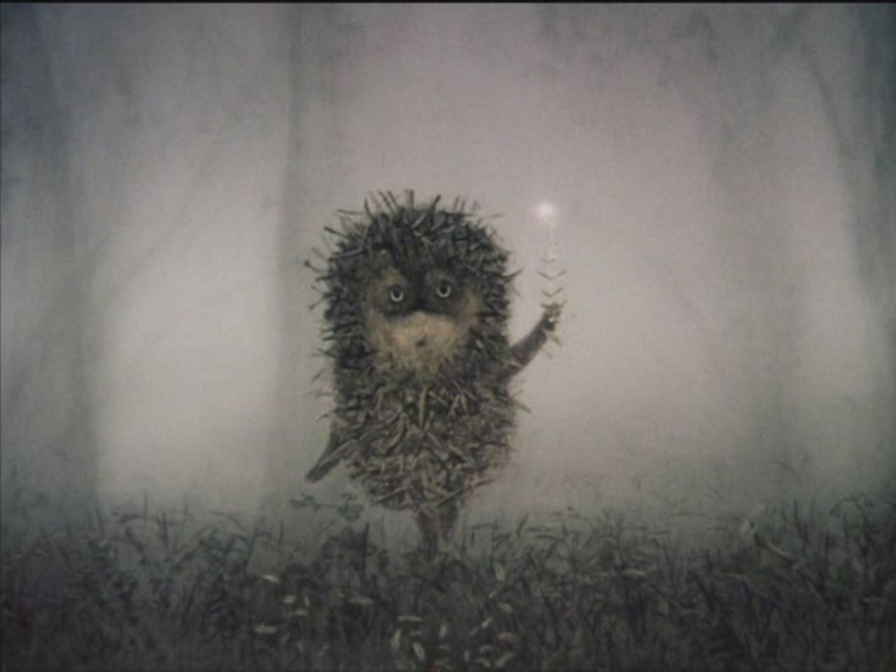 Ежик в тумане мультфильм 1975 кадры