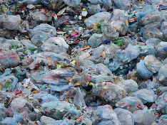 Погрязли в мусоре: в Рубцовске ввели режим повышенной готовности