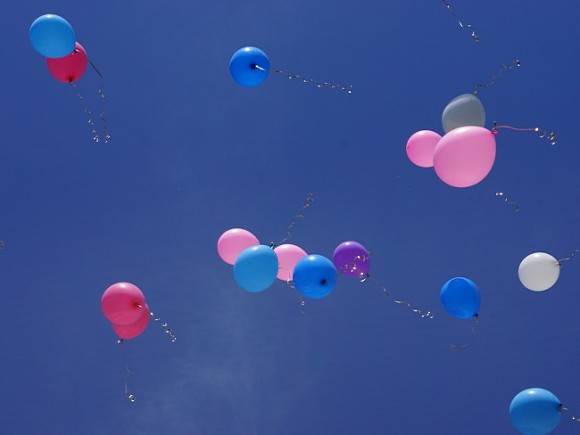 Петербуржцам предложили вместо запуска воздушных шаров сажать деревья