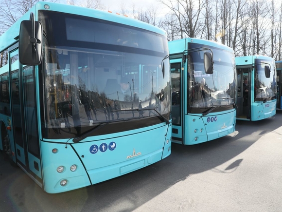 В Петербург до конца года привезут более 200 новых автобусов